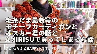 I knitted a cardigan featuring the motif from the latest issue of