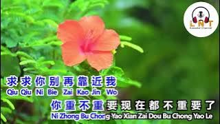 KARAOKE Zhi Sheng Ban Tiao Ming Bie Zai Kao Jin Wo  只剩半条命别再靠近我   韩小欠 Han Xiao Qian