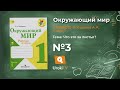 Задание 3 Что это за листья? - Окружающий мир 1 класс (Плешаков А.А.) 1 часть