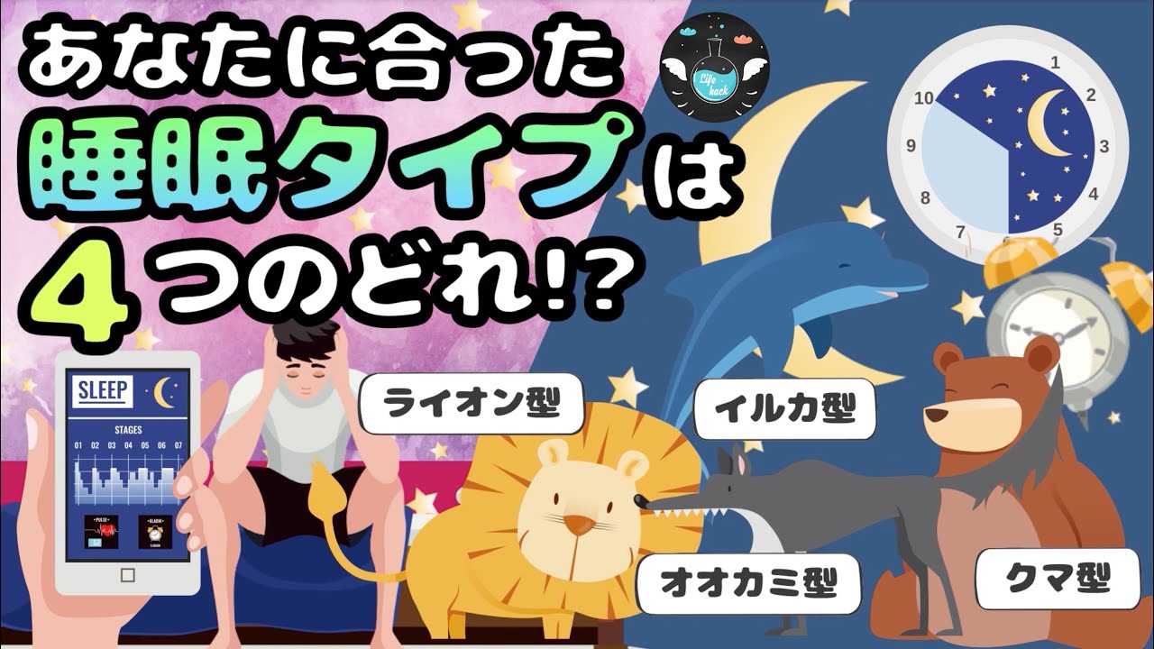 遺伝で決まる４つの睡眠タイプ【クロノタイプ】