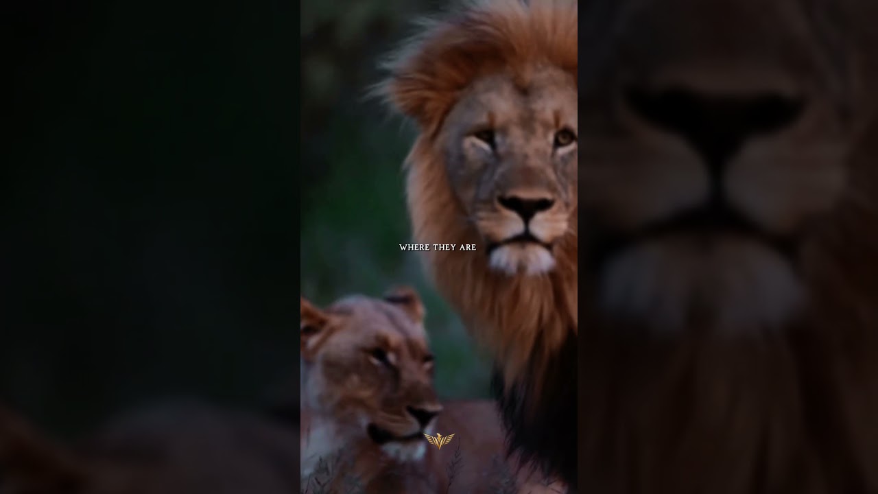 Why Their Words Don't Matter? 😎 