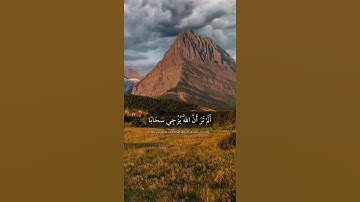 تلاوات خاشعة