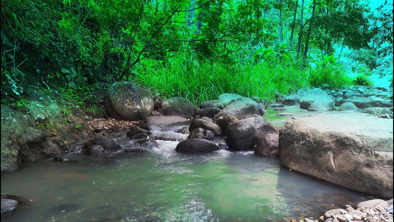ASMR River Sounds, Relaxing River Sounds, Nature River, sleep, Work ...