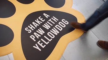 Oracle Cloud: YellowDog, les données derrière le film