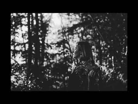 Video ponudnika