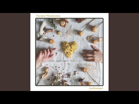Tuomo Mannonen — Muuntajakaappi