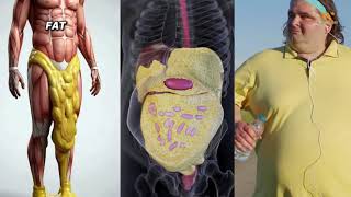 What BMI doesn't tell you about your health || Wellness 360 Clinic by  Dr.Asif Amjad Ali