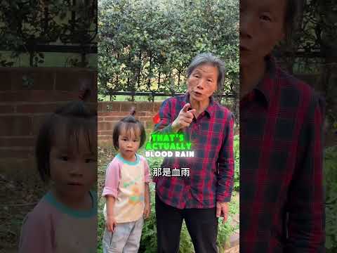 🌧️👀 What weird rain have you ever seen? #funny