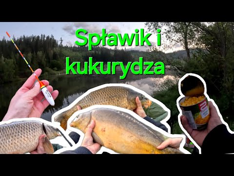 Zapowiedź filmu🐟 cały film w piątek 17 godzina