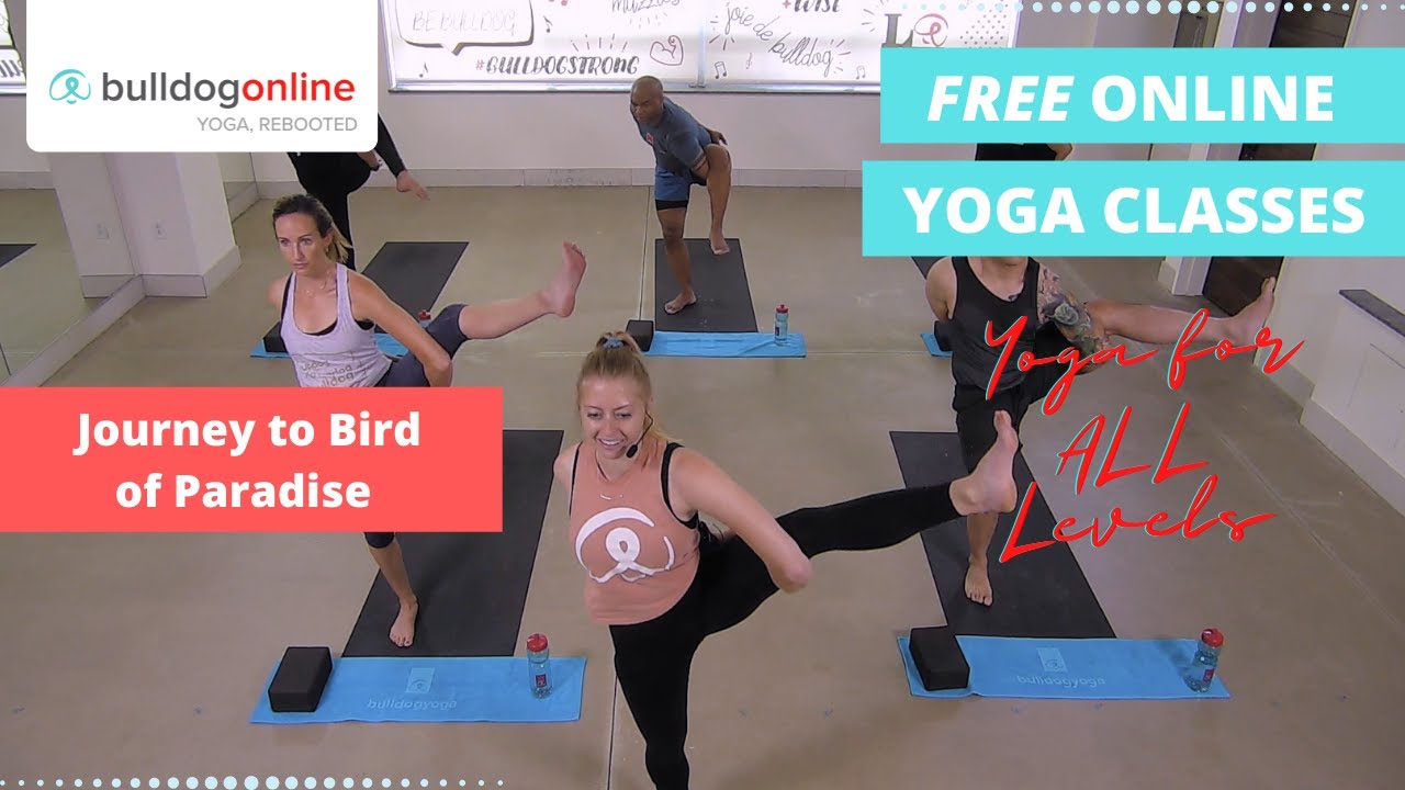 Journey to Bird of Paradise Pose - 30 Min Shoulder & Hip Opening Yoga Flow