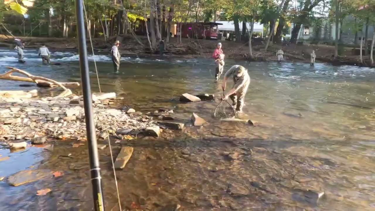 Professional Tips to Boost Salmon Fishing Success with Proper Gear, Knots, and Casting Style