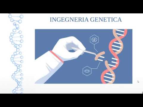 Video: Come viene utilizzata l'ingegneria genetica in agricoltura?