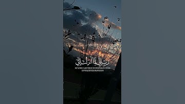 🍁رَبِّ إِنِّي لِمَا أَنْزَلْتَ إِلَيَّ مِنْ خَيْرٍ فَقِيرٌ🍁سورة 🍁القصص 🍁القارئ اسلام🍁 صبحي🍁