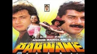 Jee Chahta Hai Tujhe | Parwane (1993) |Love Song | Kumar Sanu | High Quality