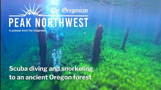 Snorkeling and scuba diving to an ancient Oregon forest by The Oregonian 427 views 3 weeks ago 22 minutes