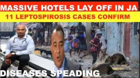 BREAKING:MASSIVE OTEL LAYOFF IN JAMAICA.11 CASES OF LEPTOSPIROSIS,DISEASES SPREADING ACROSS PARISHES