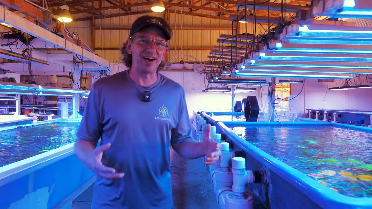 An intimate look into what it takes to run a coral farm