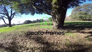 neato 180 maiden