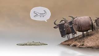 Never Argue with idiots Net Worth