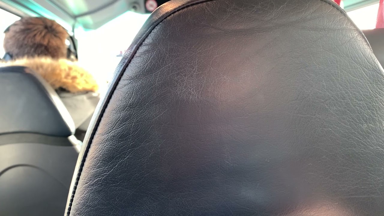 Bus Eireann | B5TL Gemini 3 (One Door) VWD 74 (172-C-4400)