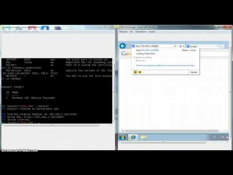 Demo CVE 2013-1493