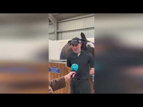 Hilarious moment police horse steals show during officer's interview