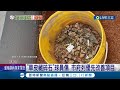 "草皮藏碎石"害球員受傷! 竹市府列為優先改善項目 將挖除表層補紅土改善 遭質疑"未驗收先開打"竹市府:有執照即可先行使用│記者 賴碧香 張浩譯│【LIVE大現場】20220729│三立新聞台