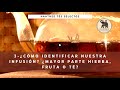 3  cmo identificar nuestra infusin mayor parte hierba fruta o t