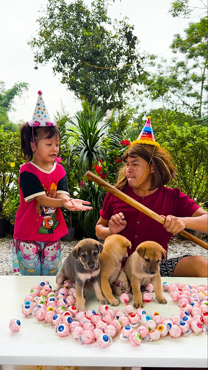 Happy Birthday with Puppy🎂🎉👶🏻❤️👧🏻🍉🍓🍒