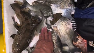 Vm66m đánh thực tế ở biển nước mặn chát.0985802199