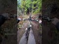 Surfing down the Trail 🏄‍♂️ #mtb #bmx #dirt #surf #bike #bikelife #fypシ #fyp #fypシ゚viral
