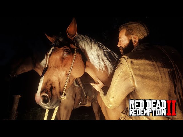 Um novo cavalo ( RED DEAD REDEMPTION 2 ) #jogos #gamer #redemption #re