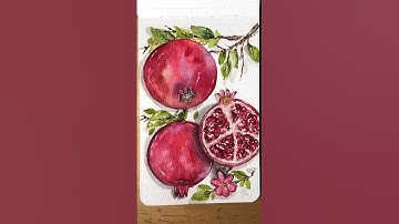 Easy & satisfying process - How to capture the shades of a pomegranate with watercolour ❤️