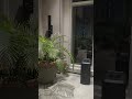 @BOSE MA12 &amp; SUB2 #audiosystem #soundsystem #foryou #forfun #video #viralreels #reelviral