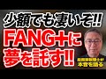 少額でも凄いぞ!FANG+に夢を託す!リアル数字も見てみよう!投資家税理士が本音を語る