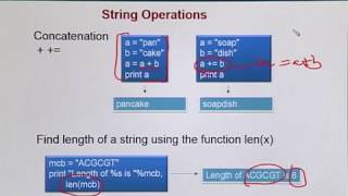 Topic 200 (BIF731 - Advanced Bioinformatics)