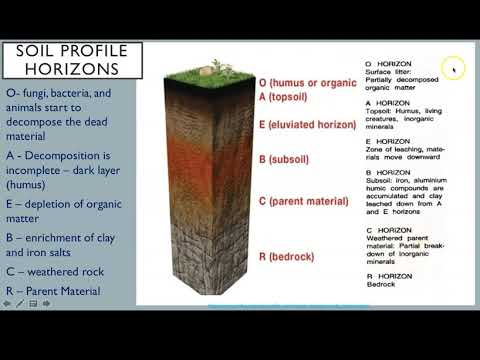 Topic 5 1 Introduction to Soil Systems
