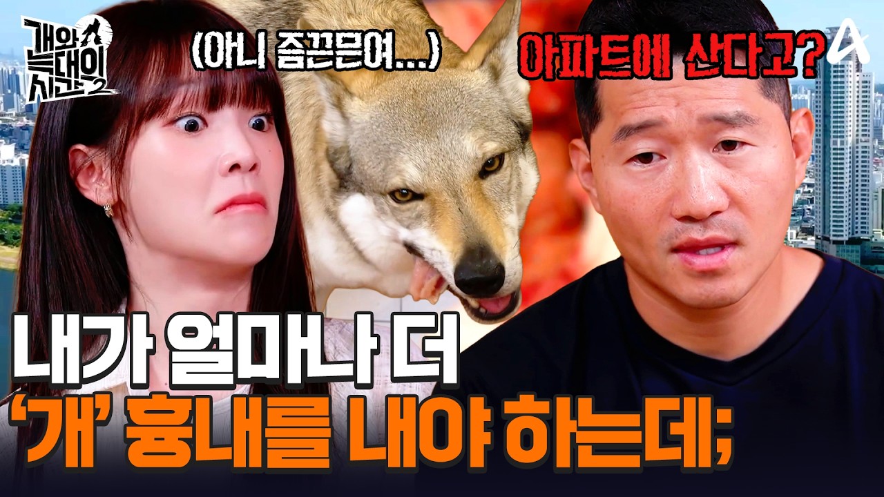 엄마 손 물어뜯어놓고 아이 둘이랑 놀아주는 심리는 뭐야?😠ㅣ개와 늑대의 시간2