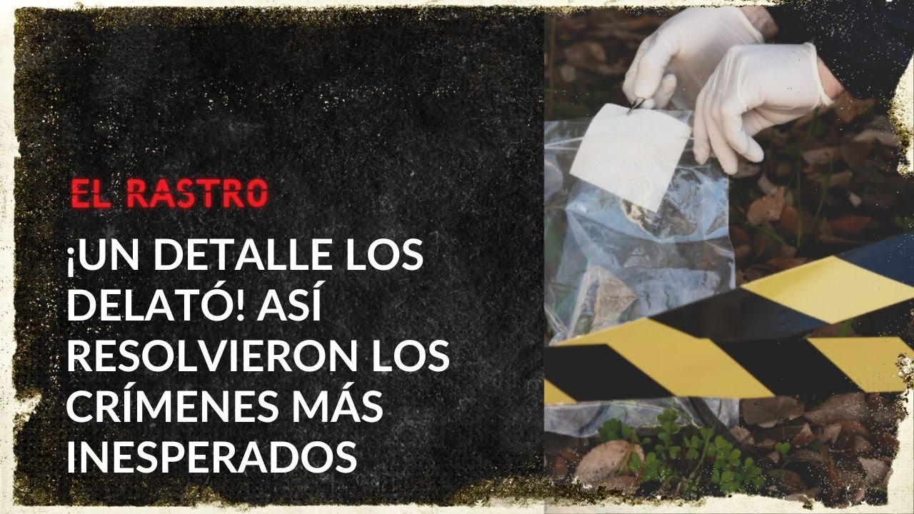 Pistas y detalles por los que cayeron autores de crímenes: así quedaron al descubierto – El Rastro