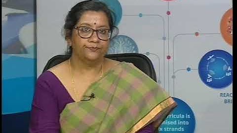 Live Interaction :  Dialogue with Expert,     Subject  : English         Class :  V