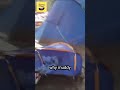 funny videos of the world 55 #shorts #funny #meme