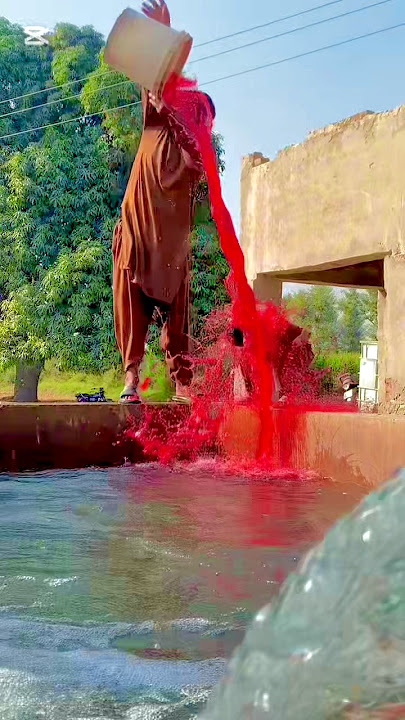 Allah Hi Allah Kiya Karo dukh na Kisi ko diya karo white shirt trending viral video Islamic ___$#us