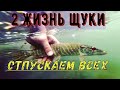 **ВТОРАЯ ЖИЗНЬ ЩУКИ ВСЕХ ОТПУСКАЕМ**РЫБАЛКА НА ЩУКУ НА СПИННИНГ**Рыбалка на щуку в октябре!