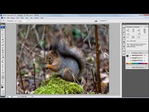 Photoshop's Eye-Dropper Tool