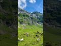 Kronberg Switzerland