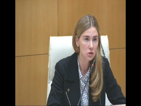 სეირივით უყურებს ქვეყნის ჩამოშლას ივანიშვილი - თინა ბოკუჩავა