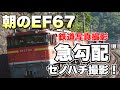 鉄道写真 朝の貨物ラッシュのセノハチ 朝日を浴びて走るEF67を狙う 鉄道写真 朝の貨物ラッシュのセノハチ 朝日を浴びて走るEF67を狙う