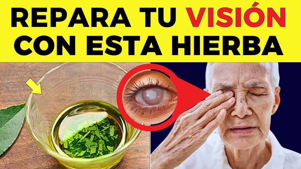 ¡ESTA es LA MEJOR HIERBA Para Proteger los OJOS y Reparar la VISIÓN DE ...