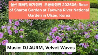 태화강국가정원 영상