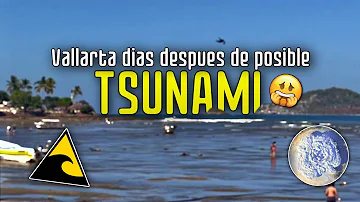 ¿Puede haber un tsunami en Puerto Vallarta?